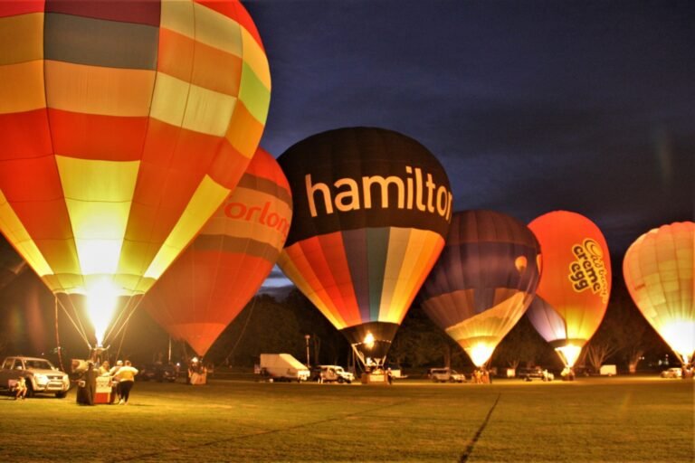 hamilton scenic flight 768x512