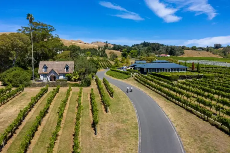 hawkes bay bike tour 768x512