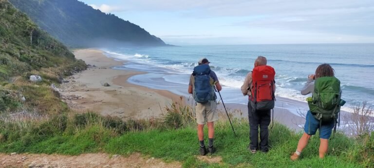 heaphy track guided walkl 768x346