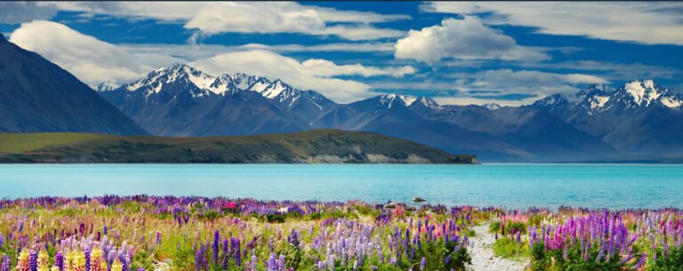 holiday house tekapo 768x305