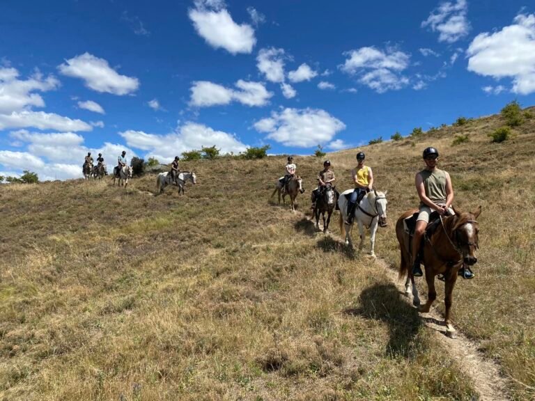 horse riding otago 768x576