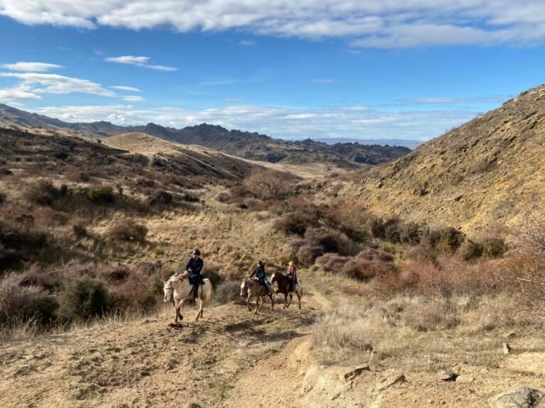 horse trek central otago 768x575
