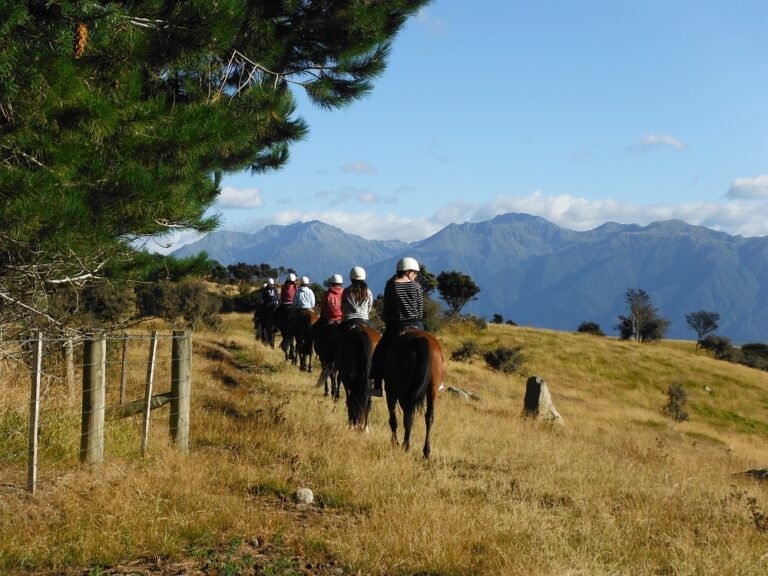 horse trek fiordland 768x576