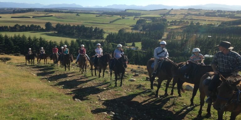 horse trekking fiordland 768x384