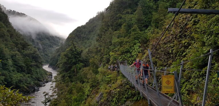 kahurangi walking tours 768x373