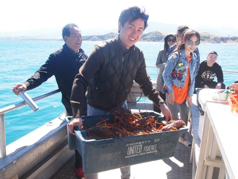 kaikoura crayfish tour 768x576