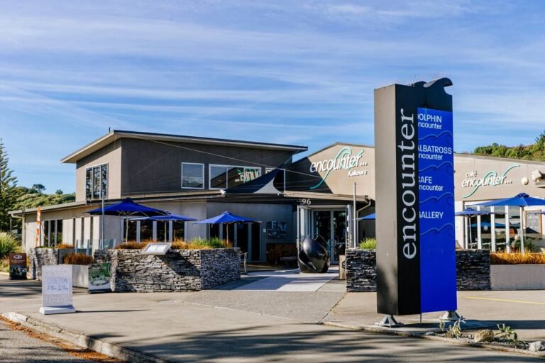 kaikoura day activity 768x512