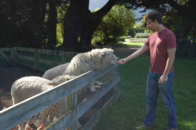kaikoura farm visit 768x510