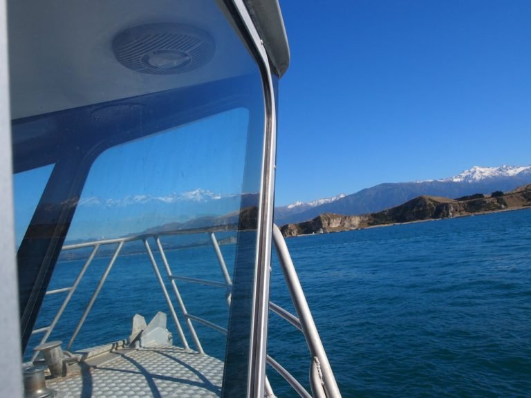 kaikoura fishing charter 768x576
