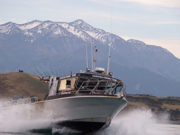 kaikoura fishing tours 768x576