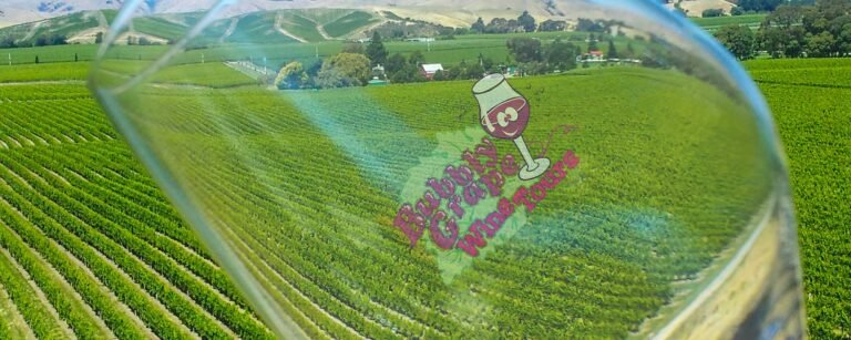marlborough wine tours 768x307