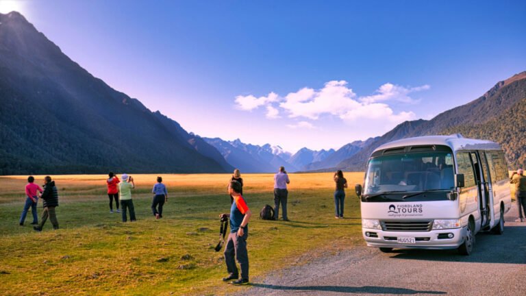 milford sound guided tours 768x432