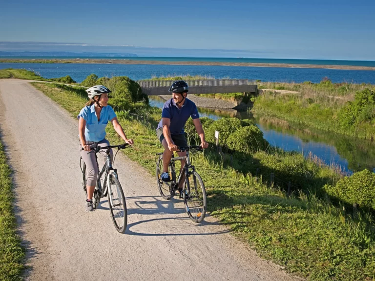 napier cycle tours 768x576