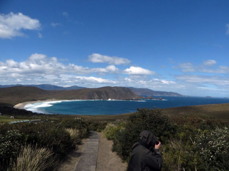 nature quest nz 768x576
