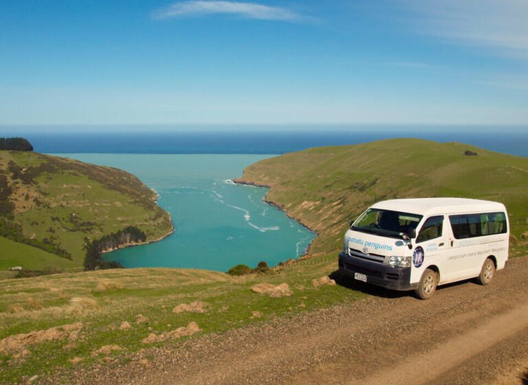 nature tour banks peninsula 768x560