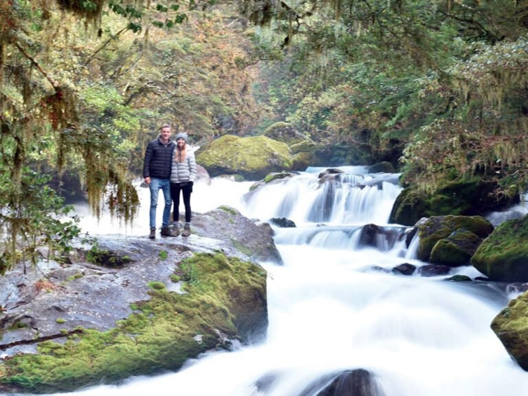 nature tour milford sound 768x576