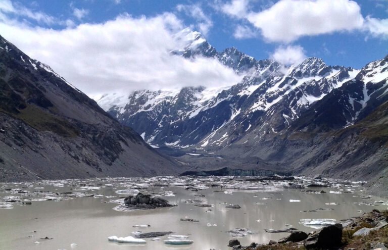 nz nature tours 768x495