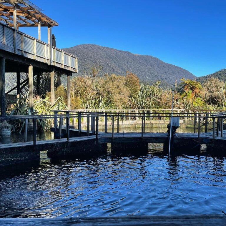 nz salmon farm 768x768