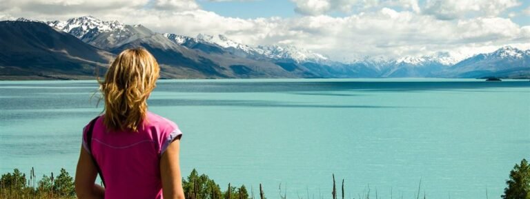 nzwide car rental 768x289