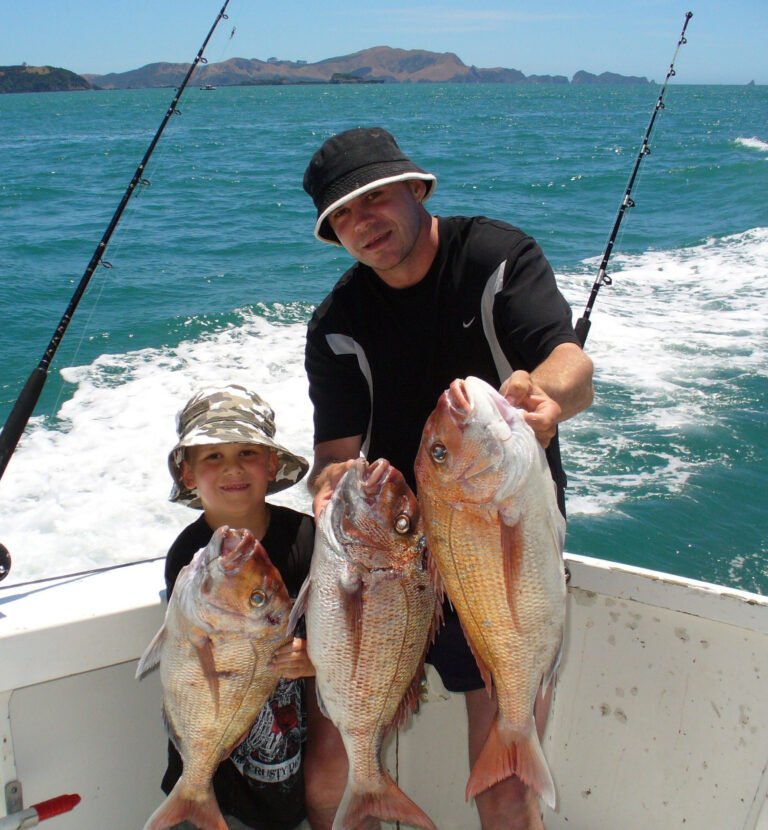 paihia family fishing 768x830