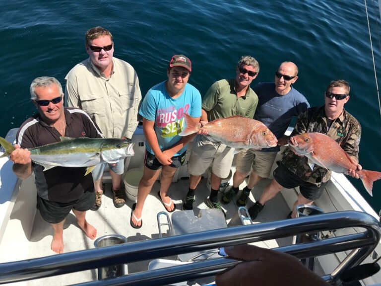 paihia group activity 768x576