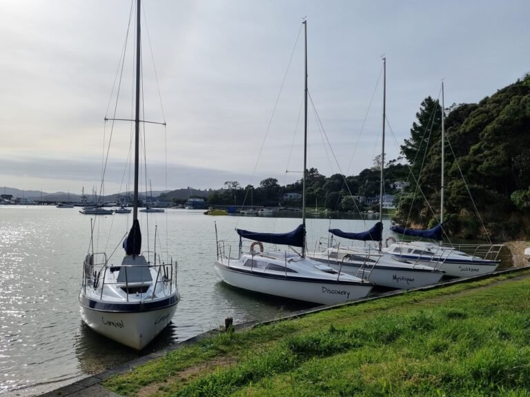 paihia sailing school 768x576
