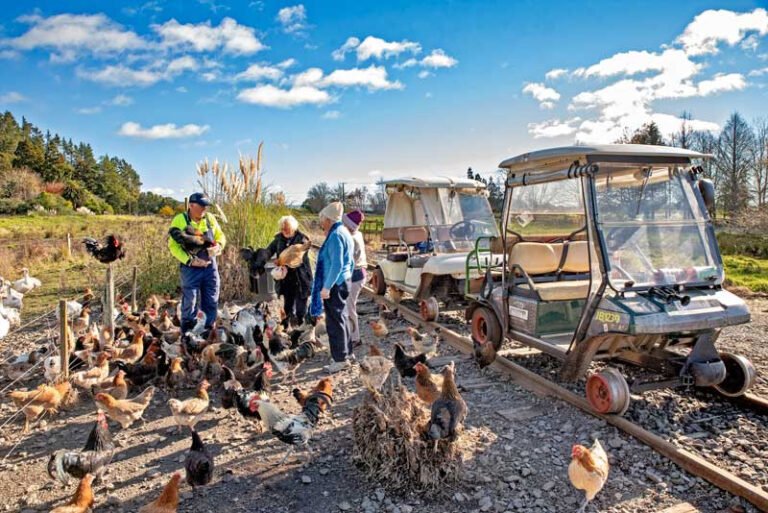 railway tour whakatane 1 768x513