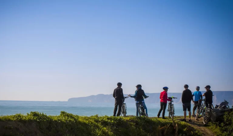 rent bike hawkes bay 768x450