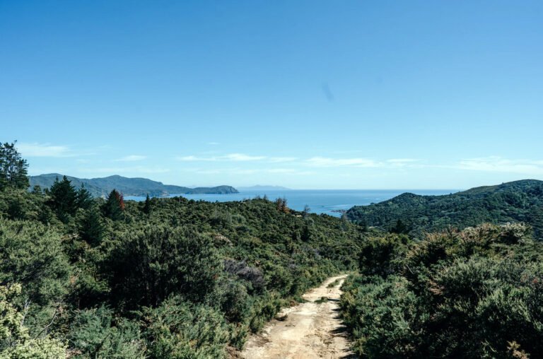 shop organic nz honey 768x508