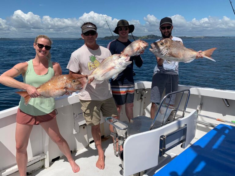 snapper fishing bay of islands 768x576