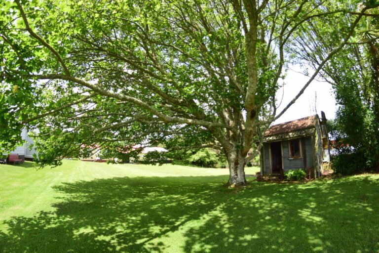taranaki pioneer village 768x512