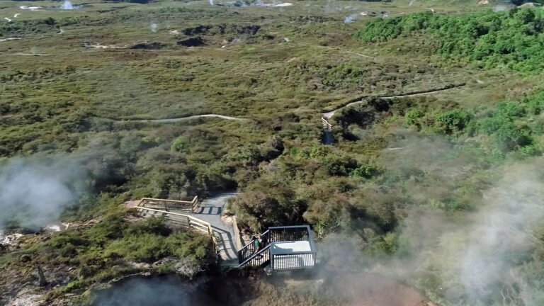 taupo nature walk 768x432