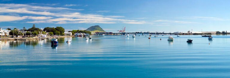 tauranga city tour 768x262