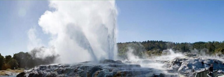 tauranga rotorua day tour 768x265