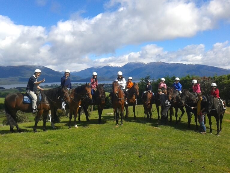 te anau horse trek 768x576