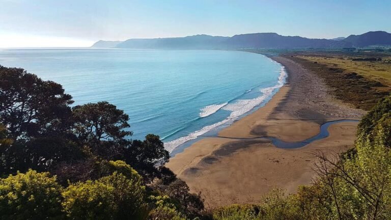 te araroa holiday park 768x432