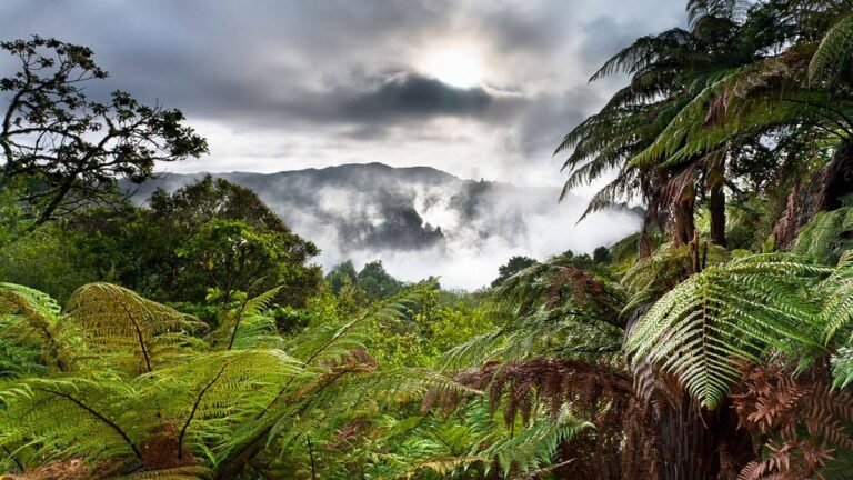 thermal park rotorua 768x432