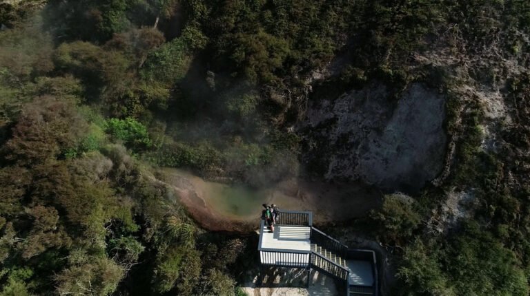 thermal walk taupo 768x430