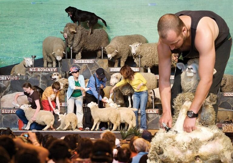 tour agrodome rotorua 768x538