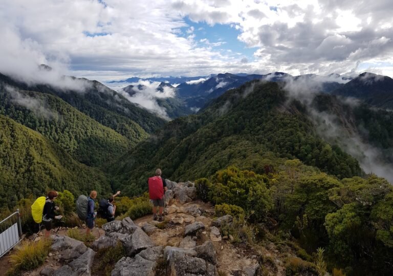 tour kahurangi national park 768x539