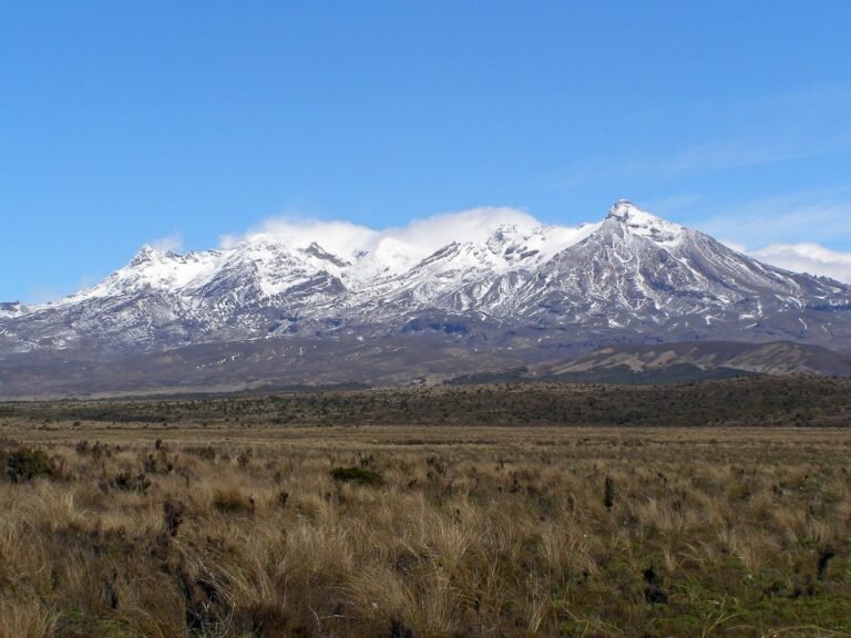 tour tongariro 768x576