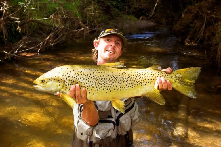 trout fishing bay plenty 768x512