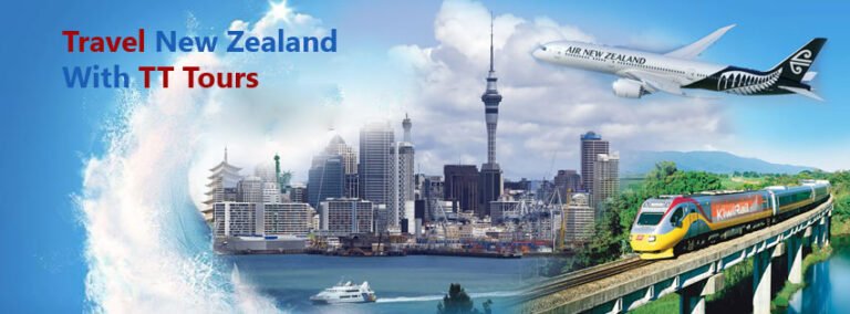 tt shuttes auckland 768x284