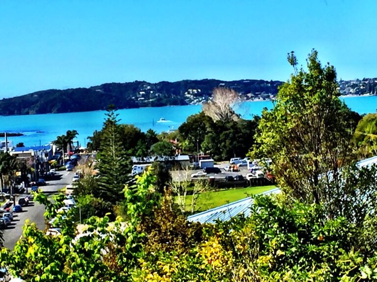 view paihia accommodation 1 768x576