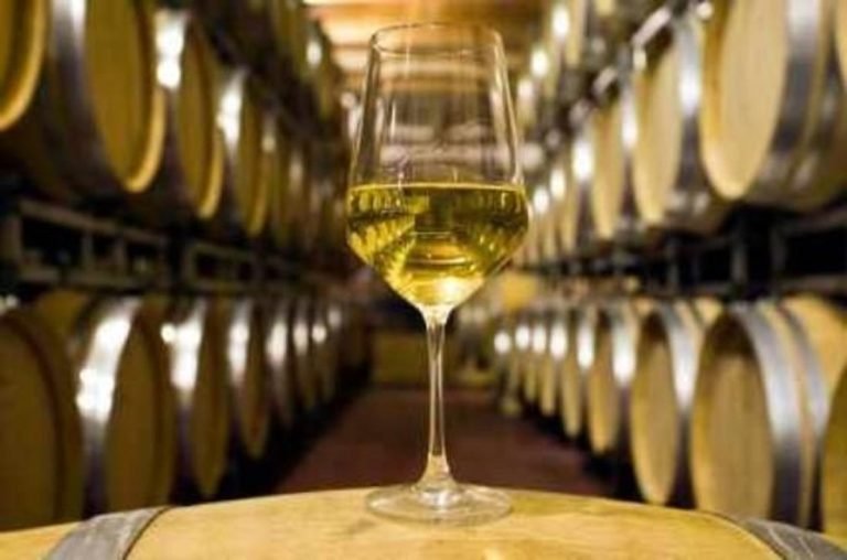 vineyard tour marlborough 768x508