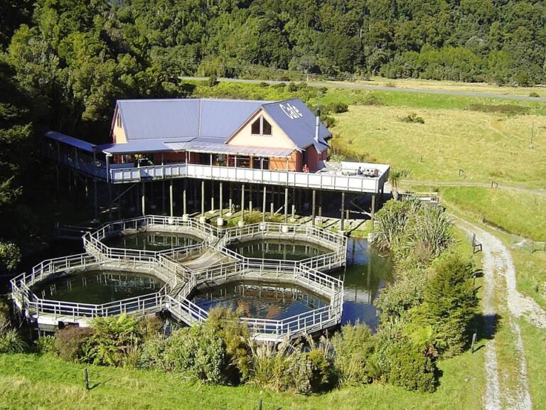 westland salmon farm 768x577
