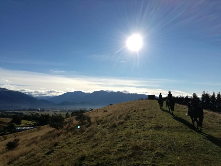 westray horse treks 768x576