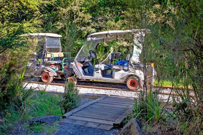 whakatane family activity 1 768x513