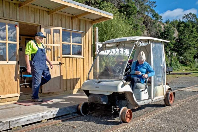 whakatane rail cart tours 1 768x513