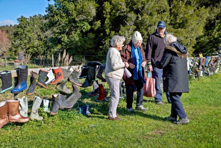 whakatane railway tours 1 768x513